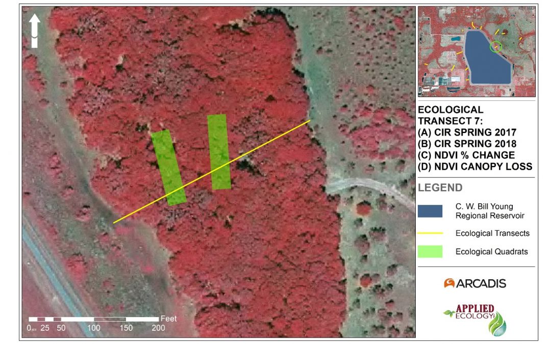 C. W. Bill Young Regional Reservoir Environmental Seepage Assessment Services