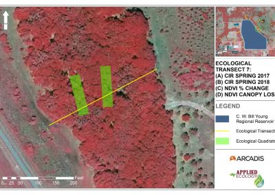 C. W. Bill Young Regional Reservoir Environmental Seepage Assessment Services