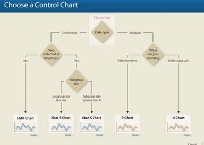 Water Use Permitting Statistical Analysis Support