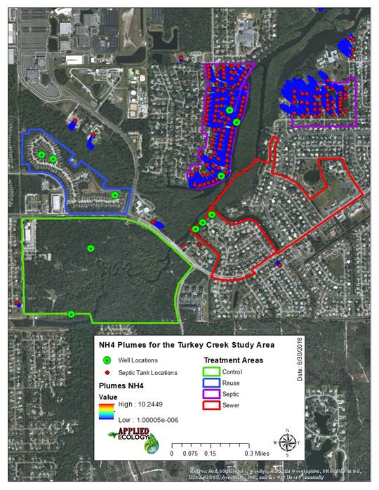 Ammonium (NH4) plumes for modeled septic tank locations within the Turkey Creek Community of Palm Bay, Florida. 