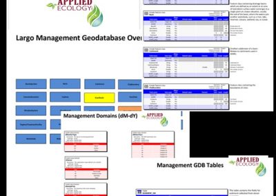 Comprehensive Stormwater Assess Management Plan for the City of Largo