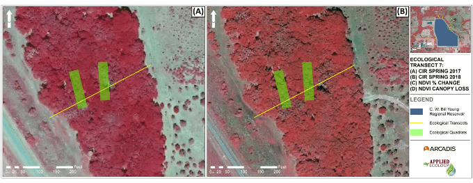 Color-infrared (CIR) aerial imagery for Ecological Transect 7 during (a) Spring 2017 and (b) Spring 2018.