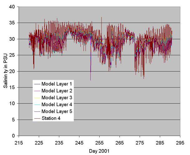 Comparison between predicted and measured salinity