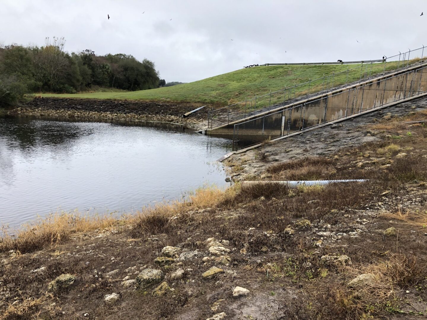 Biosolids sampling location