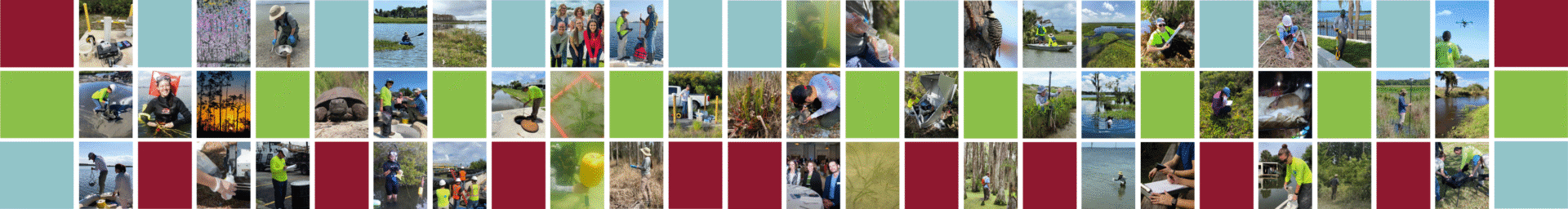 Bottom Banner_bigger Environmental team fieldwork photos.